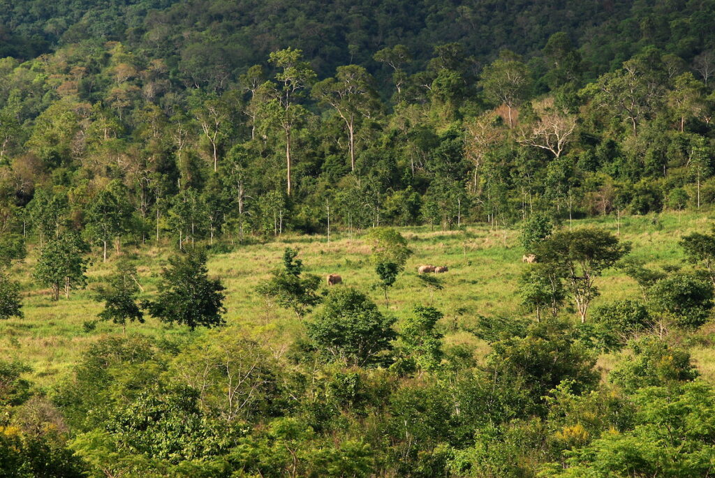 อุทยานแห่งชาติกุยบุรี